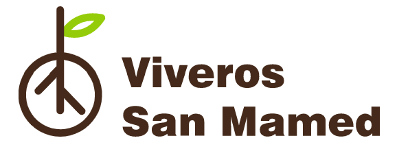 Captura de pantalla 2021-11-16 210423